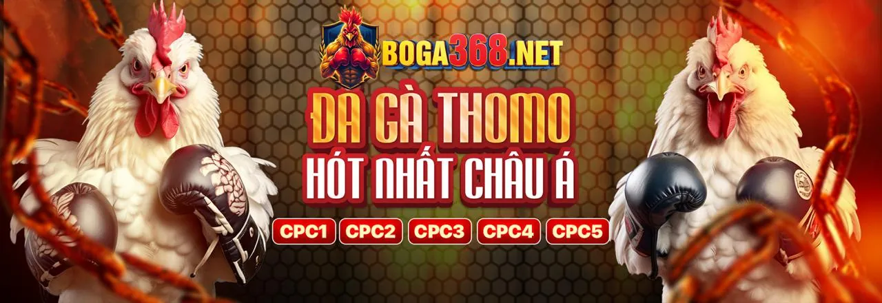 Đá Gà Trực Tuyến TT88 Nổ Hũ